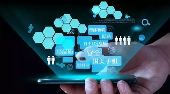 好产品 全渠道 国美通讯力争杀入手机第一阵营